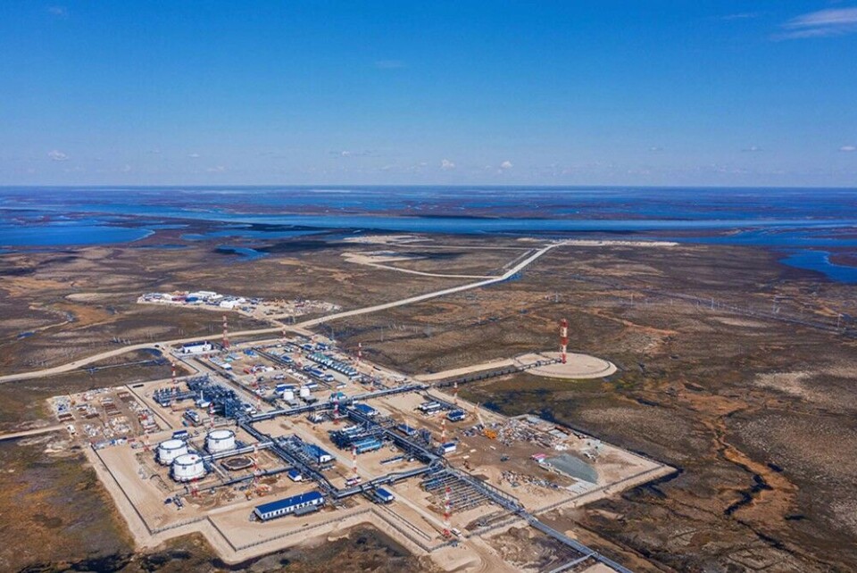 The Tazov field is located in the Taz river delta. Photo: Gazprom Neft