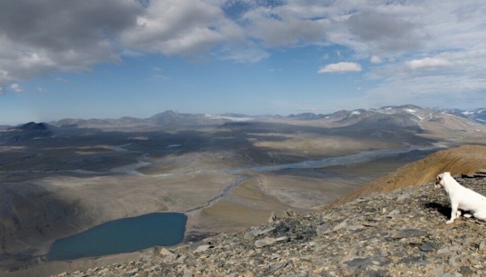 The Pavlovsky mining area. Photo: pgrk.armz.ru
