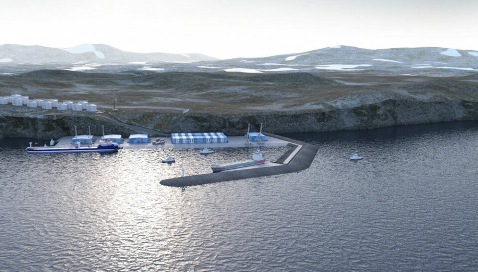 The projected seaport on coast of Barents Sea. Picture by Eleron.ru