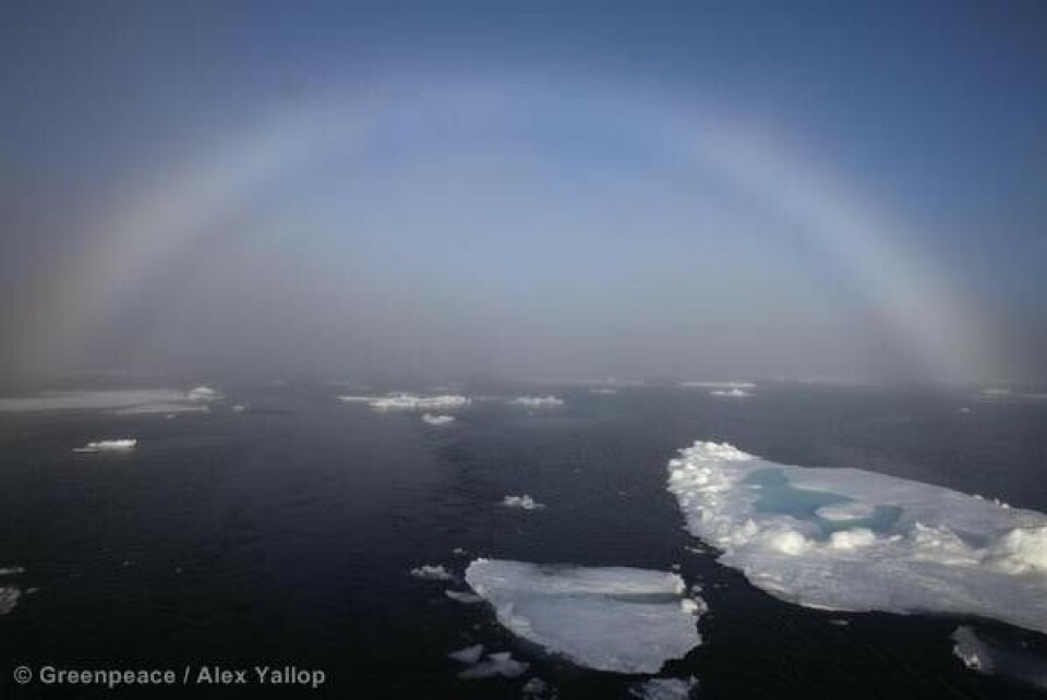 Photo: Alex Yallop / Greenpeace