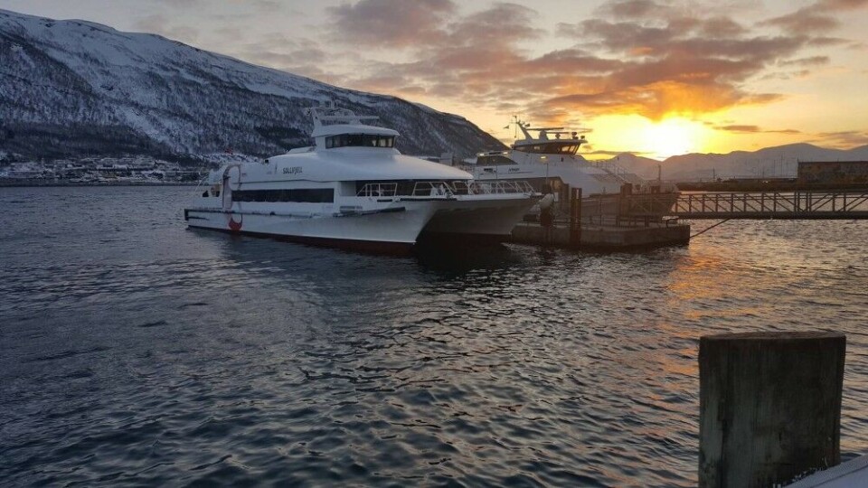 First sunrise after polar night in the port of Tromsø. Photo: Thomas Nilsen