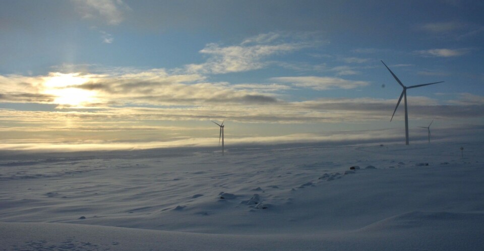 Wind farm in Berlevåg, Varanger Peninsula. Photo: Atle Staalesen
