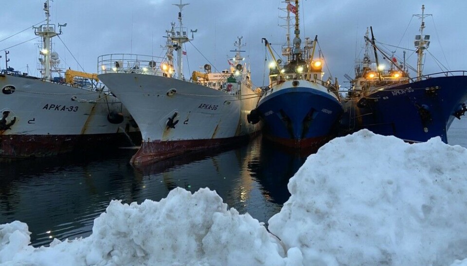 Russian fishing vessels at the Norwegian port of Kirkenes. Photo: Thomas Nilsen