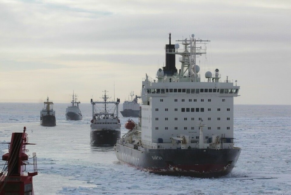 Nuclear icebreaker “Taymyr” escorts fishing vessels through icy waters. Photo: fish.gov.ru