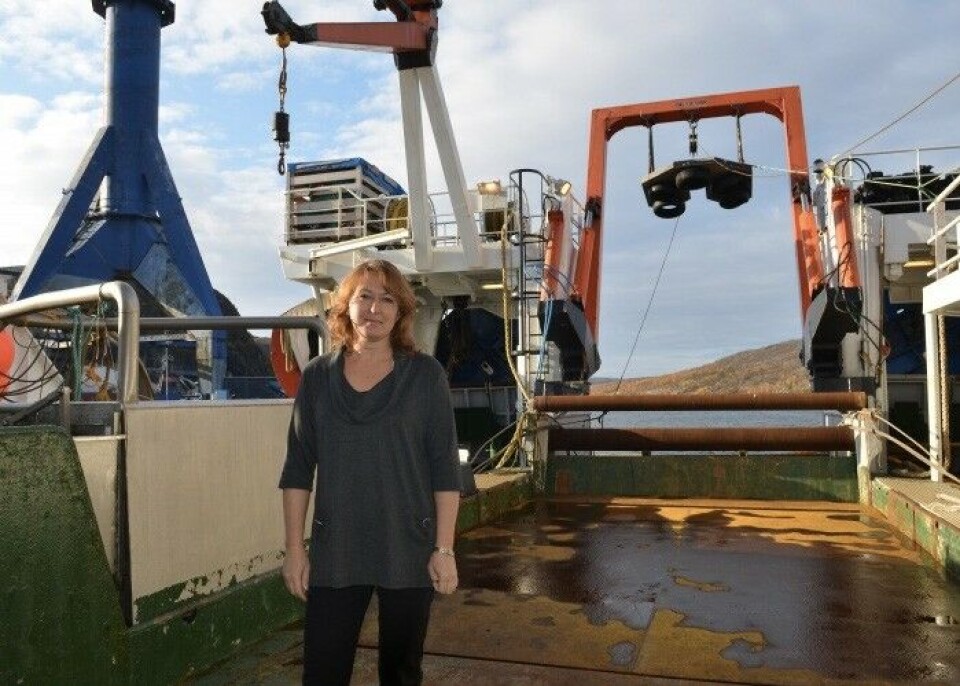 Elena Eriksen is research coordinator at the Norwegian Institute of Marine Research. Photo: Atle Staalesen
