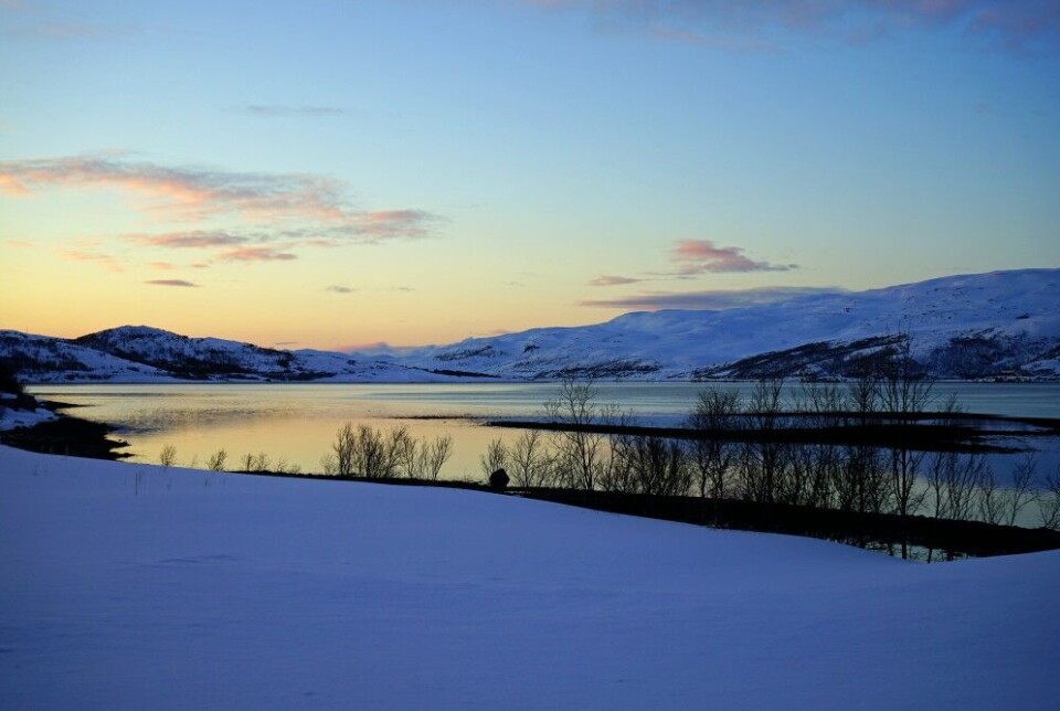 The Repparfjord is located in the Hammerfest municipality in Finnmark, northernmost Norway.