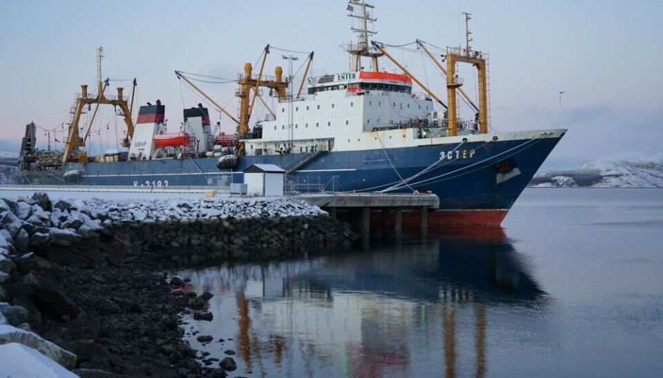 The 120 meters long fish factory ship 'Ester' is a frequent guest at in Kirkenes, one of only three ports in Northern Norway still open for Russian fishing vessels. Photo: Thomas Nilsen