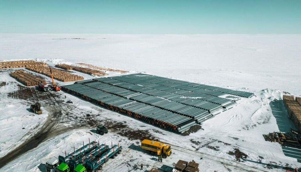 At least 21 km of oil pipes stacked along the shores of the Yenisey River ready to be assembled as part of pipelines for the Vostok Oil. Photo: Vankorneft on VK