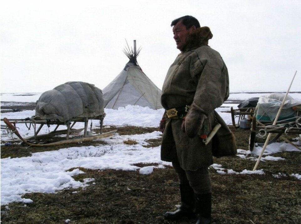 Nomadic life on the Nenets tundra. Photo: Thomas Nilsen