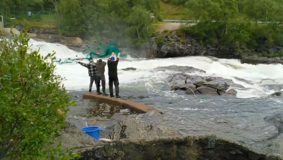 So-called 'käpälä'-fishing in Neiden River. Photo: Sara Wesslin, Yle