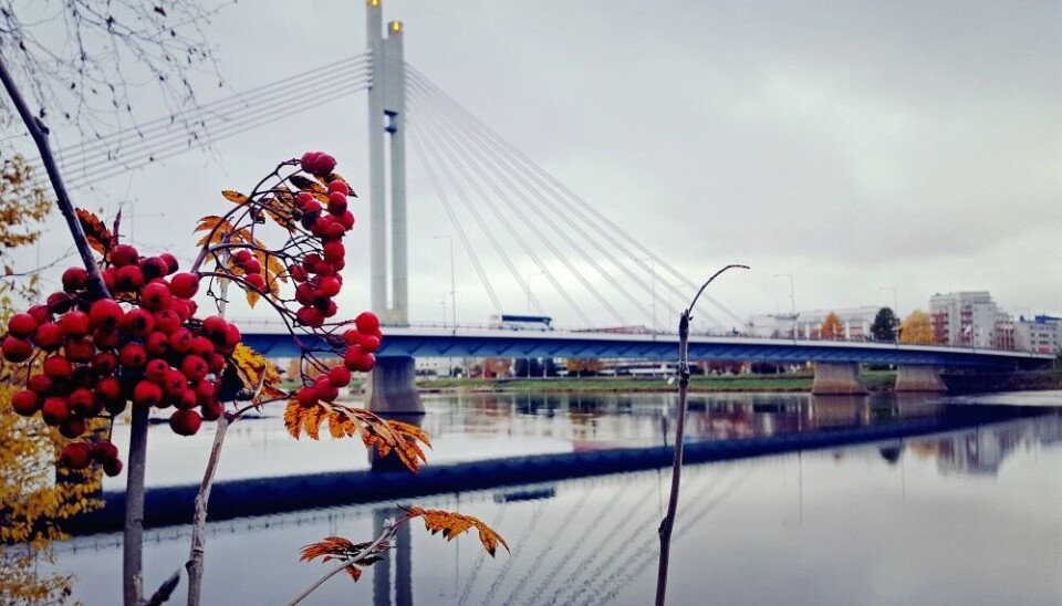 No signs of winter yet. Here from Rovaniemi on the Arctic Circle.