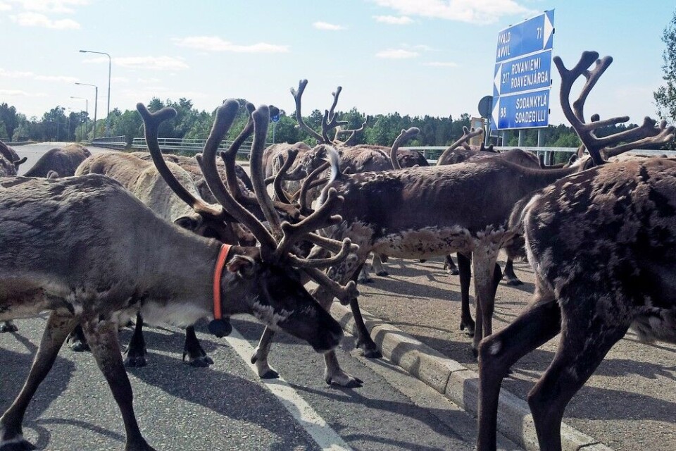 Distances in Lapland are long. Photo: Thomas Nilsen