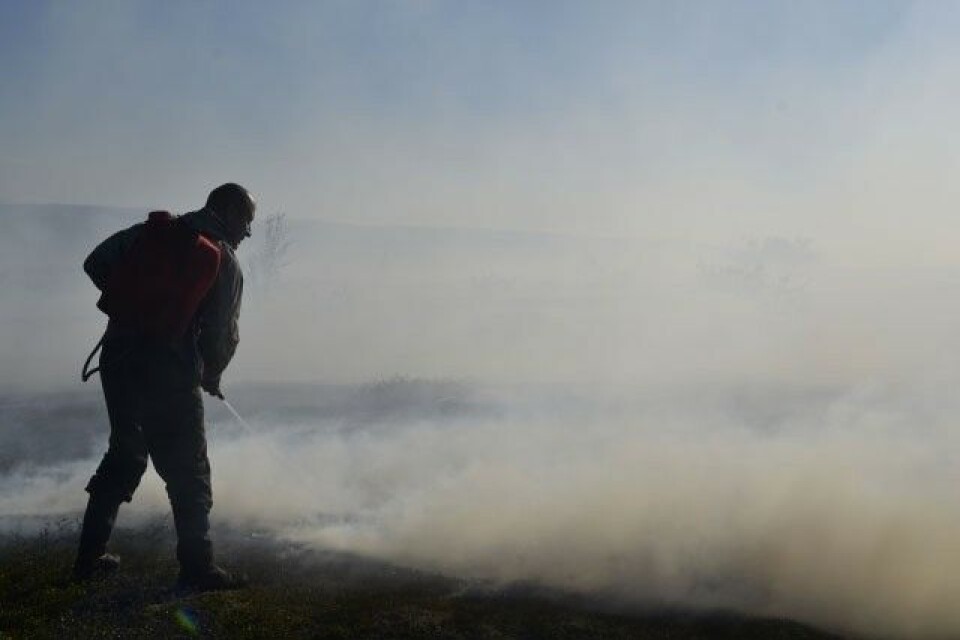 Volunteer wildfire fighter in Kola Peninsula. Photo: Tatiana Britskaya, Novaya Gazeta