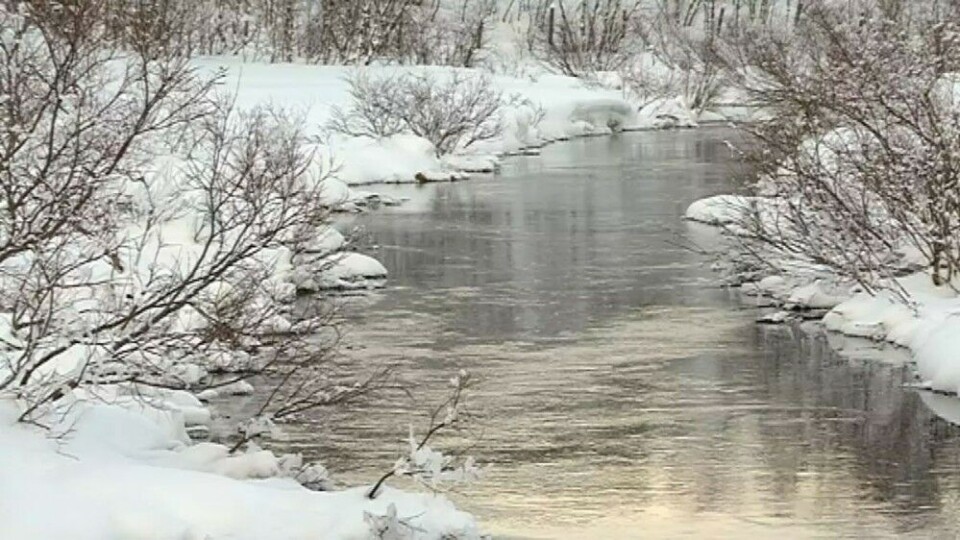 The Sulaoja spring in northern Finland. Photo: Mikkal Morottaja / Yle