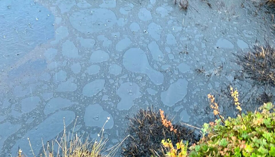 A thick layer of oil covers the water near the pipeline. Photo from the Telegram channel of Rospotrebnadzor / Svetlana Radionova
