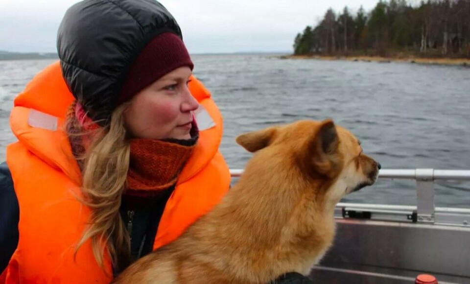 Photo: Linnea Rasmus, Yle Sapmi