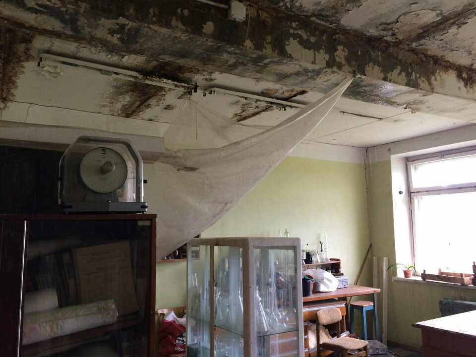 Leaking roof at the Apatity Plant Institute. Photo: bloger51