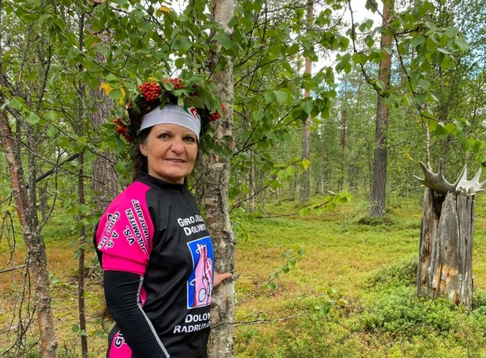 Stefania from Italy wins this year's tree hugging championships in Levi, Finland. Photo: Saara-Maria Salonen