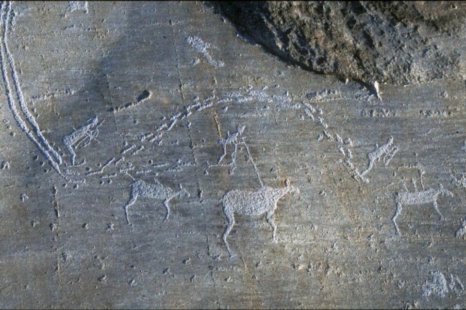The Onega petroglyphs are in the Pudozh region. Photo: Press service of the Head of the Republic of Karelia