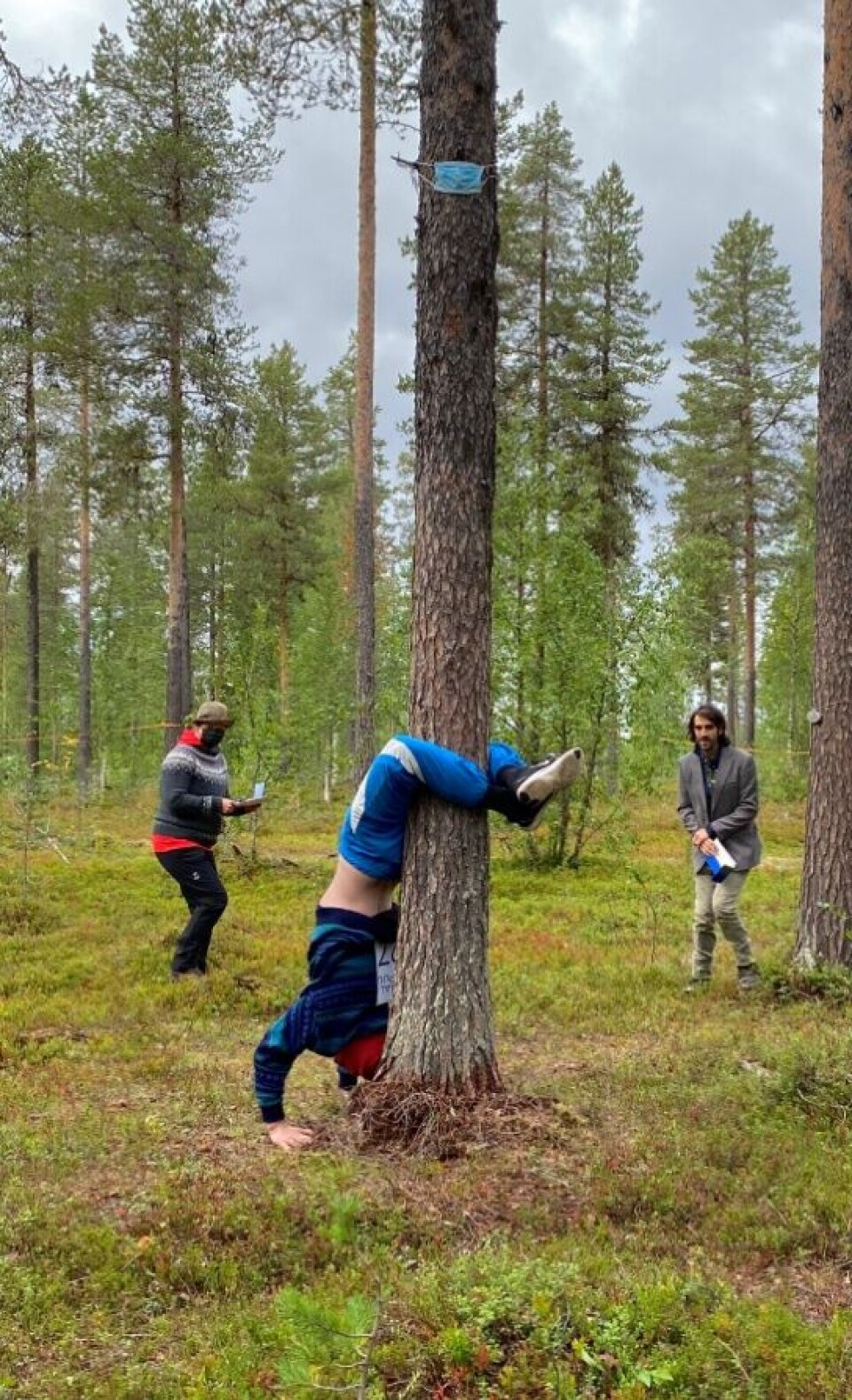 Creative tree hugging. Photo: Saara-Maria Salonen