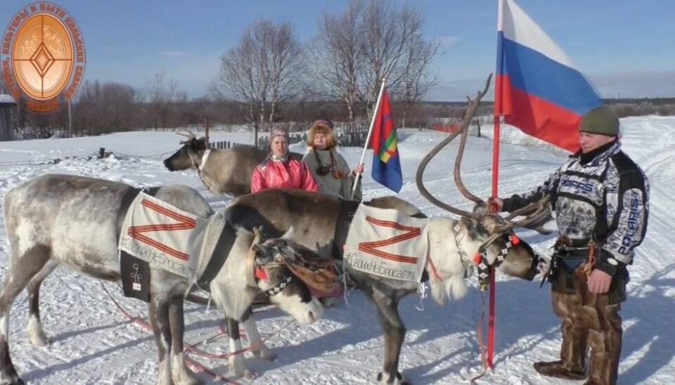 With Kremlin’s “Z” on two reindeer, the Sami in Lovozero staged a pro-army, pro-Putin message.