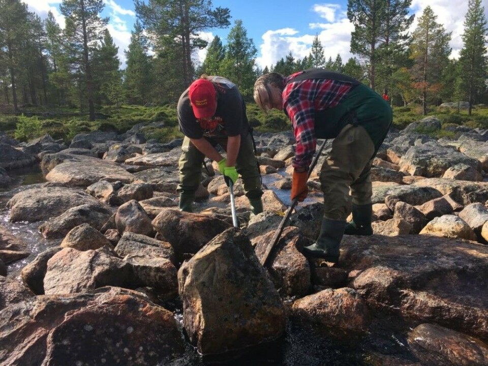 Working in the river. Photo: Ville Fofonoff / Yle