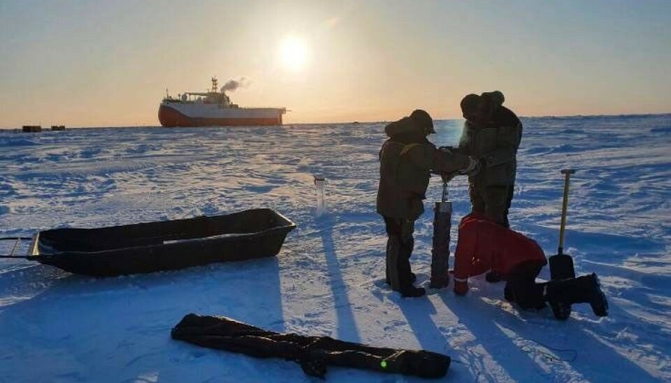 The whole ship crew and five of 34 researchers onboard the 'Severny Polyus-41' will soon be replaced. Photo: Aari.ru