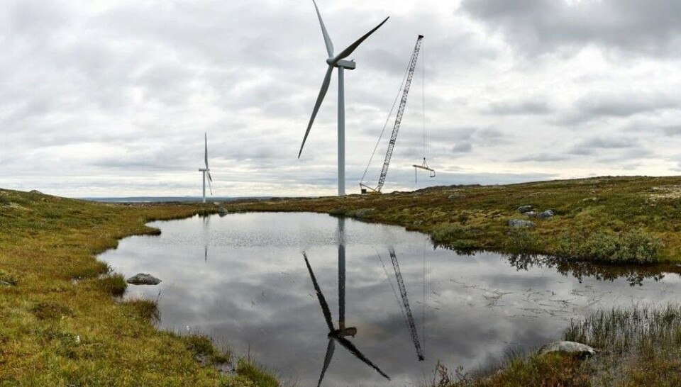 The Kola Wind Farm is located near the coast of the Barents Sea. Photo: Gov-murman.ru