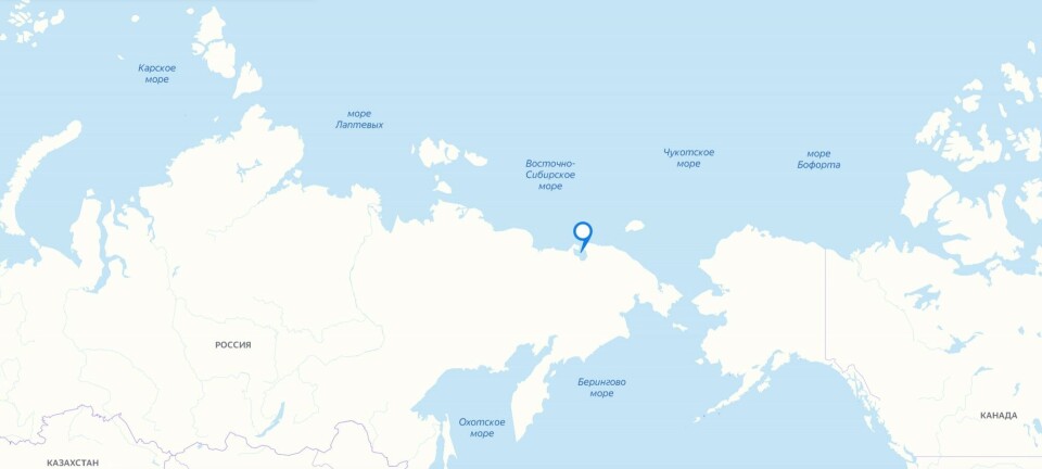 The floating NPPs will be operating in the Chaunskaya Bay, Chukotka.