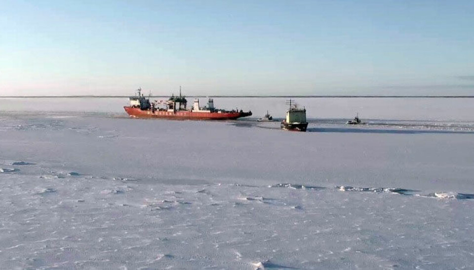 The Sevmorput has a powerful icebreaking capacity. Here from a voyage through the White Sea to Arkhangelsk in 2019. Photo: Rosmorport
