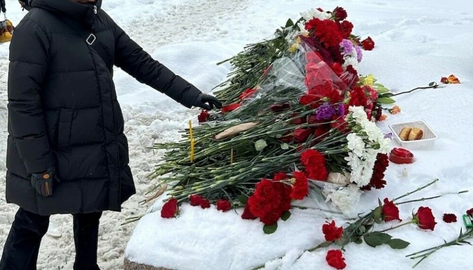 Посол Швеции в России Карин Олофсдоттер возлагает цветы в честь Алексея Навального у Соловецкого камня в российской столице. Фото: Посольство Швеции в Москве