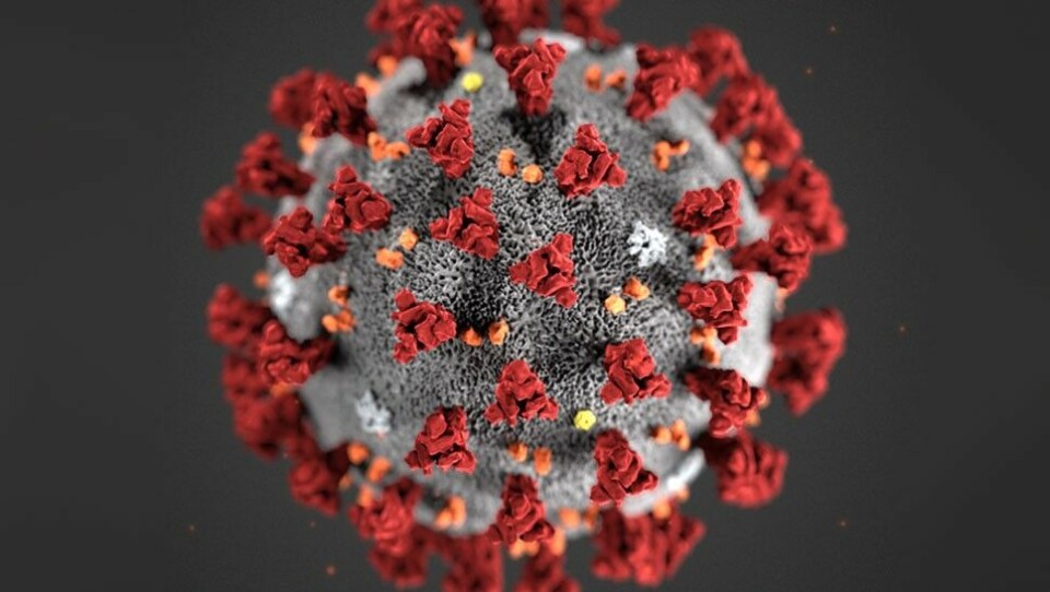 Norway says it has got coronavirus under control