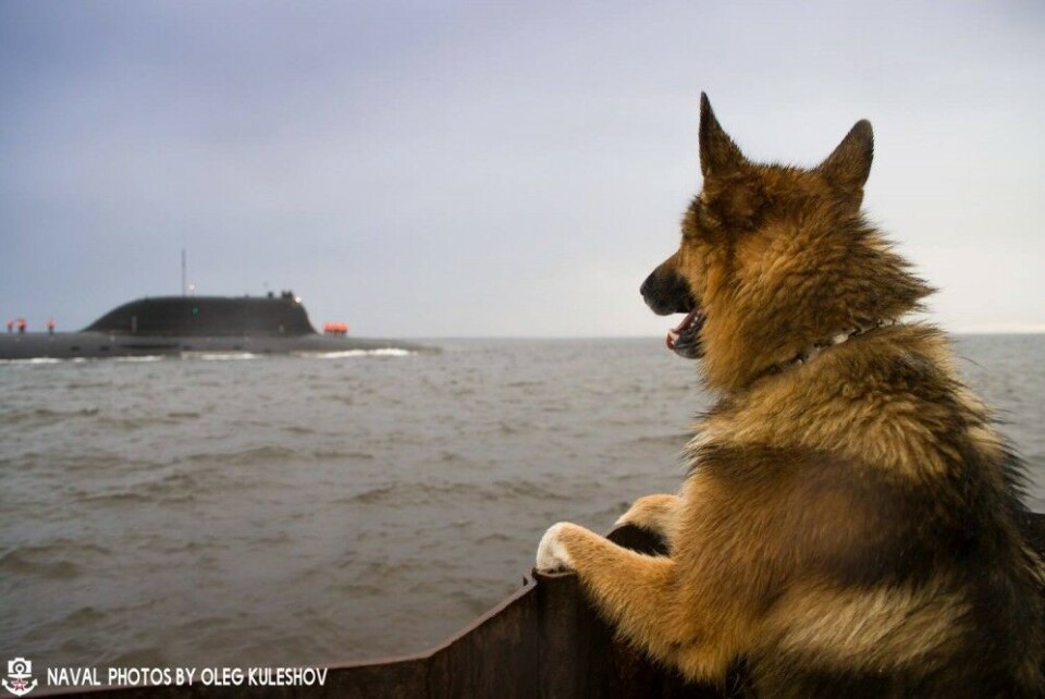 The Kazan submarine sailing out from Severodvinsk on a test voyage. Photo: Oleg Kuleshov