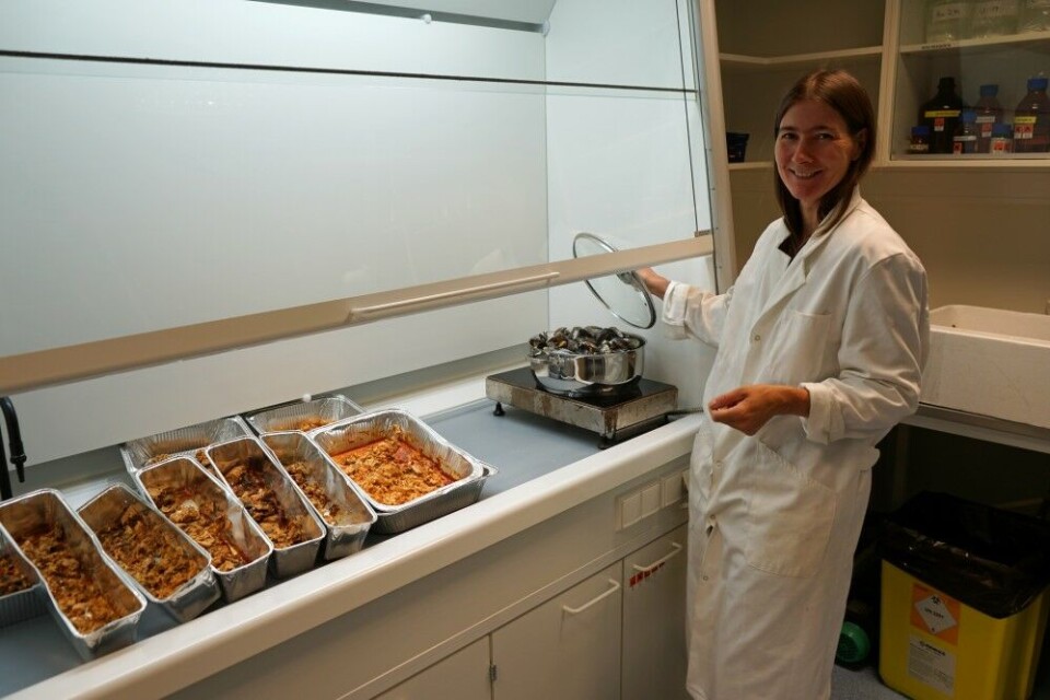 Researcher Louise Kiel Jensen preparing mussels and other seafood for radiation laboratory testing. Photo: Thomas Nilsen