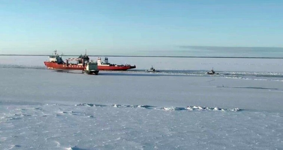 Nuclear powered container ship 'Sevmorput' was among the ships delivering goods to Arctic military bases in 2019. Photo: Rosmorport