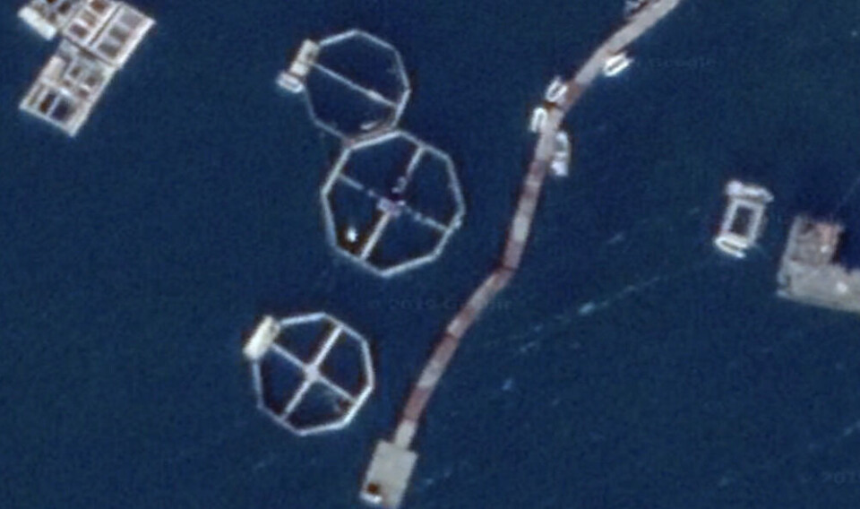 A close up image better shows the belugas in the pens in Garyachie Ruchy. Image: Google Earth / The Barents Observer