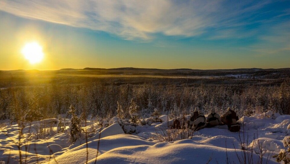 Exercise Winter Sun 2021 in Norrbotten, northern Sweden. Photo: Mats Carlsson/Forsvarsmakten