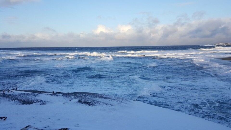 The coast of the Barents Sea. Photo: Thomas Nilsen