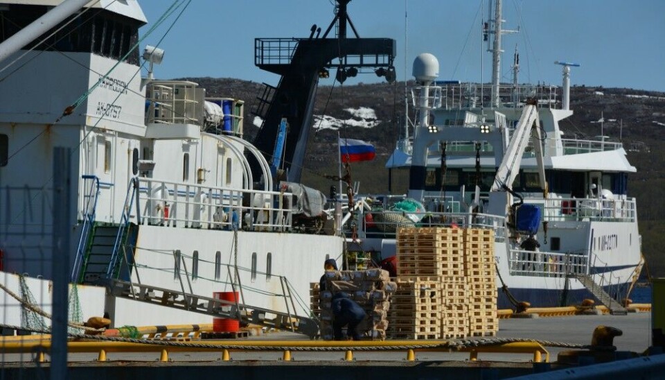 Russian fishing vessels at port in Kirkenes. Photo: Mathea Staalesen