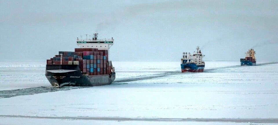 В 2024-м по СМП перевезли 38 миллионов тонн грузов. Должны были 80