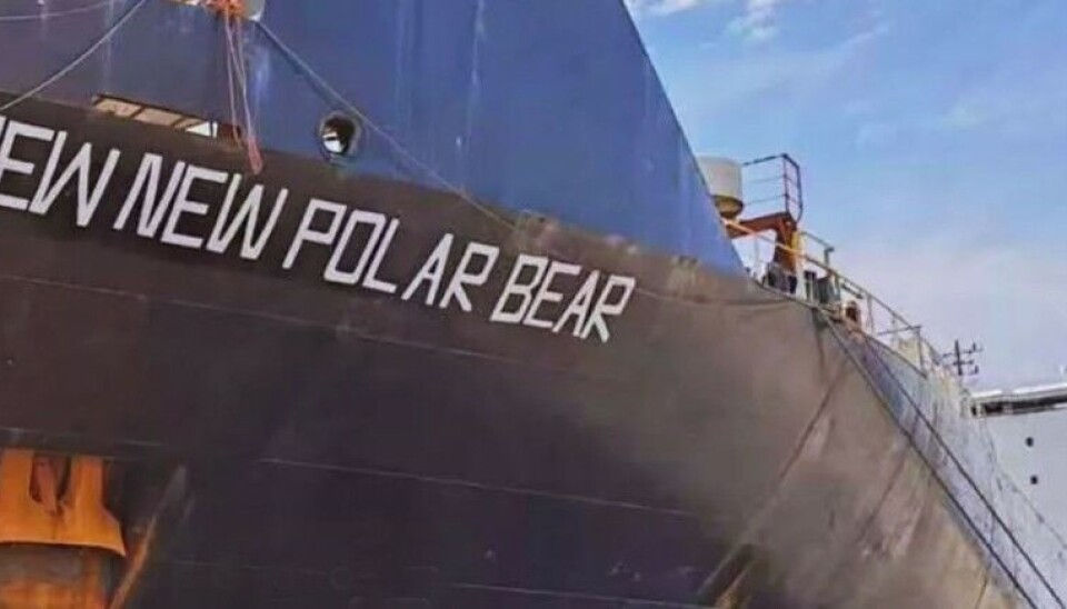 Container ship Newnew Polar Bear is suspected of sabotage. Photo: inttms.com