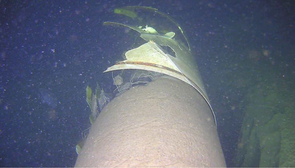 The Balticconnector pipeline was seriously damaged by Newnew Polar Bear’s anchor. Photo: Finnish Coast Guard