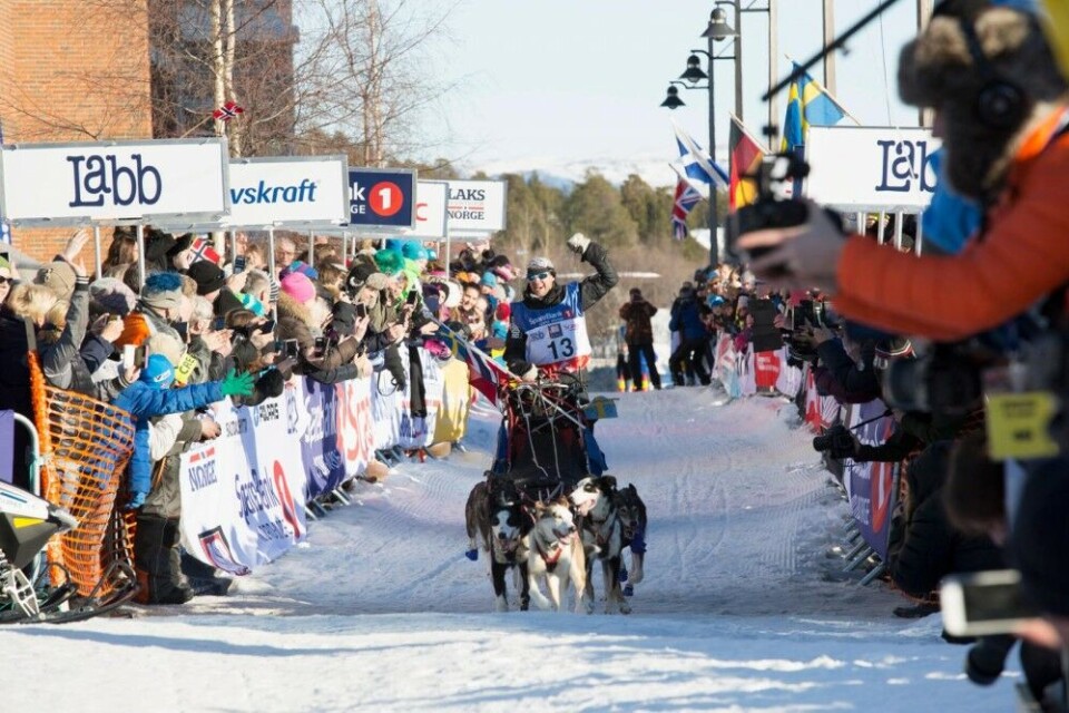 Karlsson approaching the finish line in Alta. Photo: Davina Muller/Finnmarksløpet