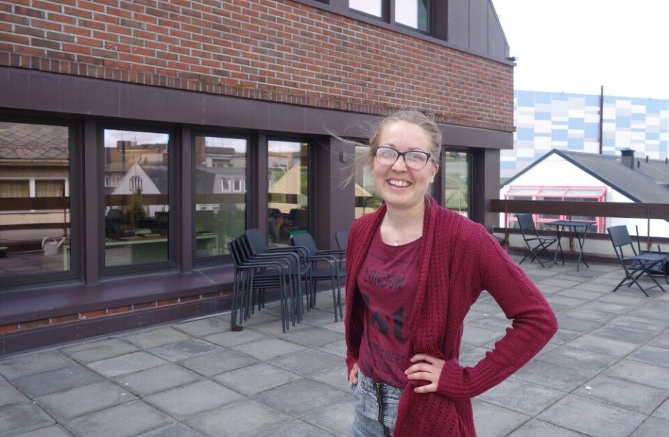 The International Barents Secretariat should take on a stronger role, the new study from Rebecka Snefuglli Sondell concludes. Photo: Atle Staalesen