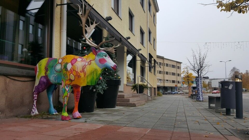 Colorful reindeer outside Arctic Light Hotel in Rovaniemi. Photo: Thomas Nilsen