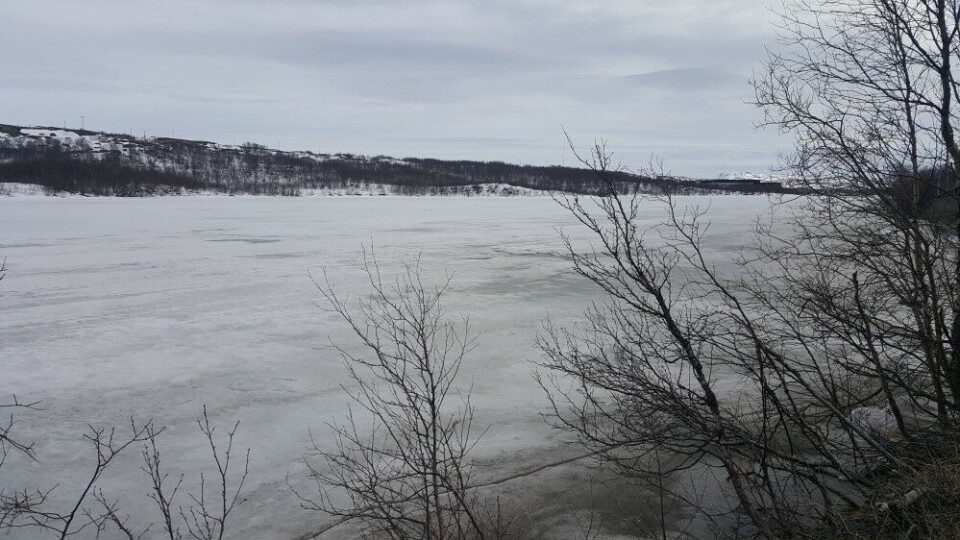 Ice on the water; no opening for fly fishing at this lake in Norway’s border area to the Kola Peninsula on May 19th. Photo: Thomas Nilsen
