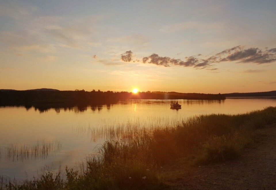 Photo: Saara-Maria Salonen