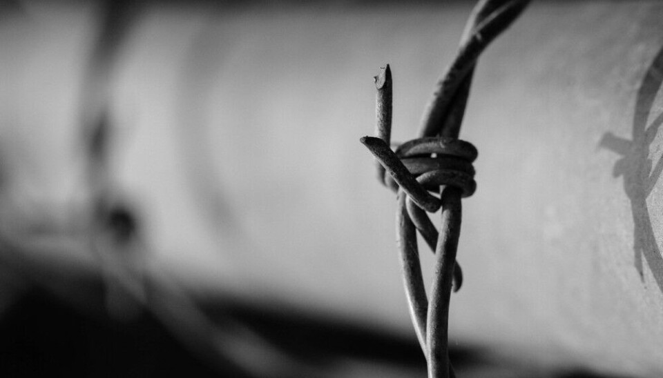 Фото: pixabay.com