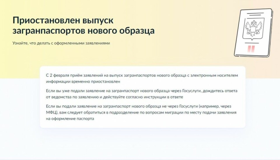 В России не хватает чипов для загранпаспортов