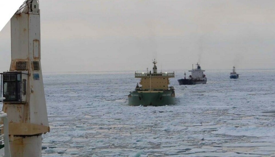 Суда в водах российской Арктики. Фото: Администрация Северного морского пути